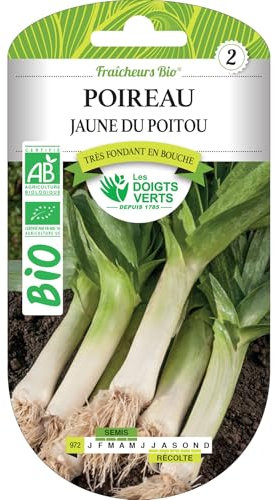 Graines poireau jaune du Poitou BIO Les Doigts Verts