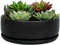 SQOWL 20,3 cm moderner runder Blumentopf aus schwarzer Keramik Kaktus Sukkulenten Pflanzschale mit abnehmbarem Untersetzer