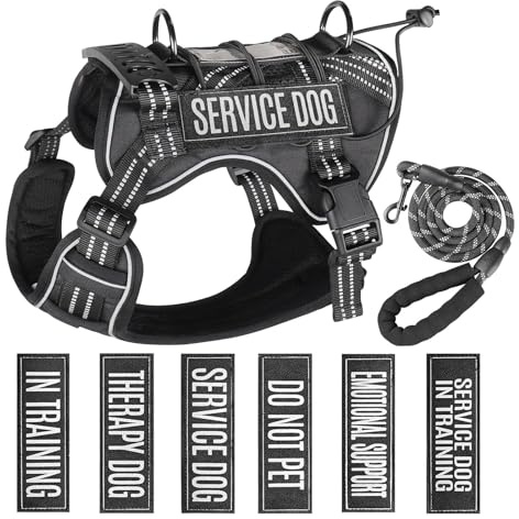 Service Dog Tactical Vest Harness and Leash Set Large Sized Dog Emotional Support- Tactical Dog Harness Training Collar with Name (Black, L)