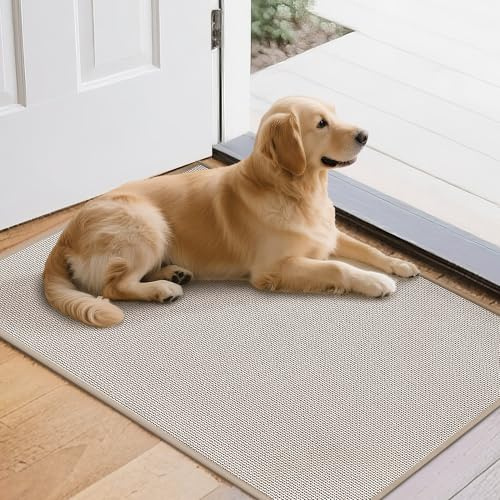 Mizuosre Fußmatte Innen Waschbar 43.5x75cm, rutschfest Fussmatte Innen Dünn Schmutzfangmatte Innen Türmatte Outdoor, Eingangsteppich mit Wasserabsorbierenden für Innen, Außen, Hund & Haustür, Beige