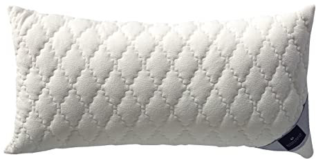 Billerbeck Rosshaar-Kissen | Bilind | 40 x 80 cm | Naturkissen | hohe Elastizität | Feste Stützkraft | ohne optische Aufheller