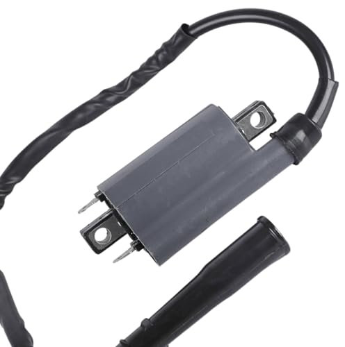 Twowinds - Bobina de Encendido Compatible con Yamaha XV 250cc, 750cc, 1000cc - Repuesto para Moto y Quad - Encendido Eficiente