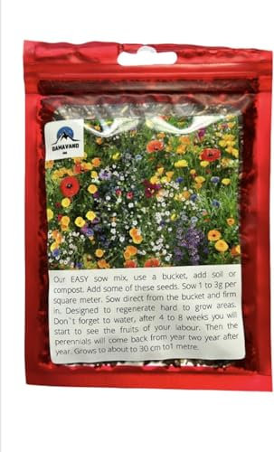 (1kg) Wild Flower Meadow Seeds Mix UK, Garden Best Seeds for Bees and Butterflies Habitat Contain Purely Wildflower Seeds