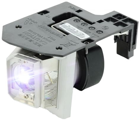 iReijomoi Lámpara de repuesto SP.8MQ01GC01 con carcasa para OPTOMA HD20 (Q8NJ)/HD20-LV HD200X (Q8NJ)/HD200X-LV/Theme-S HD23 (Q8NJ)/DH1010/EH1020/EX612/EX615/GT750/GT750 Proyectores XL/HD20/HD20-LV