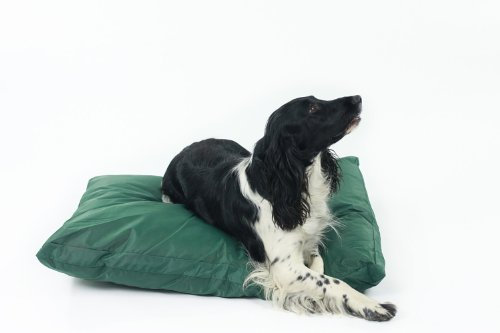 Easipet Waterproof Dog Bed, Oxford Polyester Cover, Green, Large 90 x 70 x 10 cm