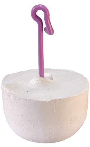 Arquivet Chaux pour perroquets 20 g - Bloc minéral avec iode pour Oiseaux - Complément Alimentaire pour Tous Les Oiseaux domestiques - Accessoires pour Oiseaux - Pierre à Oiseaux