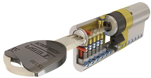 Tesa Assa Abloy, TK153040L, Cilindro de Alta Seguridad, TK100, Doble Embrague, Leva Larga, Llave - Llave, Latonado, 30 x 40 mm