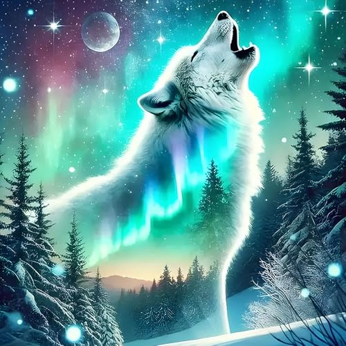 DPHERO Timberwolf Diamond Painting Kits for Beginners Adults,5D DIY Aurora Polaris Diamond Art Kits,Round Full Drill Night Sky Gem Art Crafts,DIY Painting by Numbers for Home Wall Decor 12x12 inch