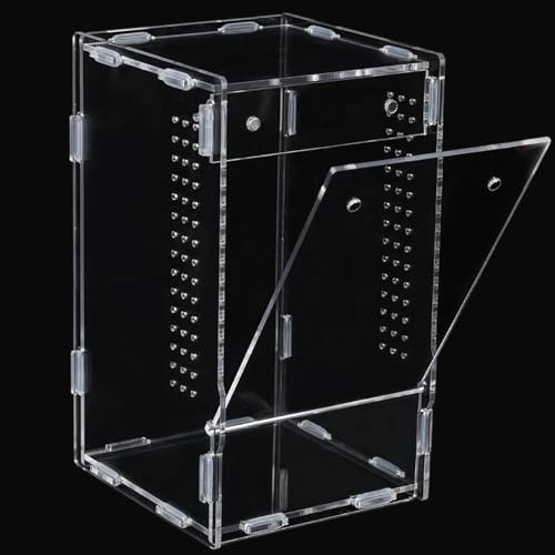 Hoppande spindellivsmiljö inhägnad transparent akryl terrariumlåda för spindlar, tarantlar, amfibier, reptiler, insekter och leddjur, mini husdjurshus för display
