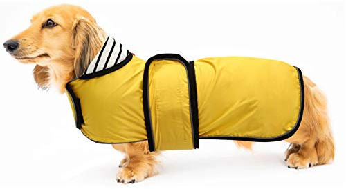 Geyecete-Cappotto Cane Impermeabile,Cappotto Bassotto,Bassotto Impermeabile Giacca con Regolabile Cintura,riflettuto Bassotto Giacca per piccola media Cani-Giallo-S