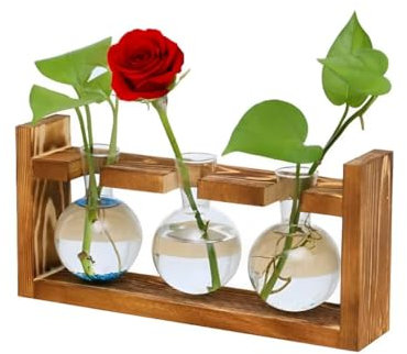 EHIOG Plantes Propagation Station Vase, Lot de 3 vases en Verre, Pot Planteur avec Support De Support en Bois pour Plantes d'eau Verte Adapté, pour Salon, Bureau, Jardin, Maison