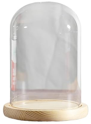 UZAMIRLEX Cupole di Vetro da Esposizione, Campana in Vetro con Base in Legno, Diametro 15 cm, Altezza 21/25/27 cm(Dia15*H25cm)
