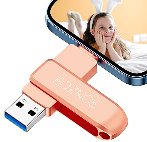 EOZNOE Clé USB 256 Go pour Phone Compatible OTG Android/iPad/Mac/PC,Cle USB pour Phone Stockage Externe Sauvegardez Vos Photos et Vidéos sans Applications.