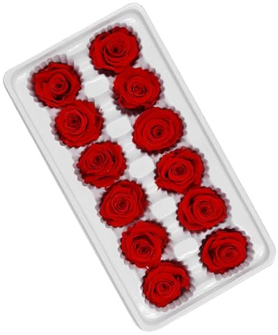 Gadpiparty Bouquet di Rose Stabilizzate Rosse 12 Pezzi 3-4 CM Fiore per Decorazione Nozze Accessorio per Matrimonio Regalo Romantico per San e Natale