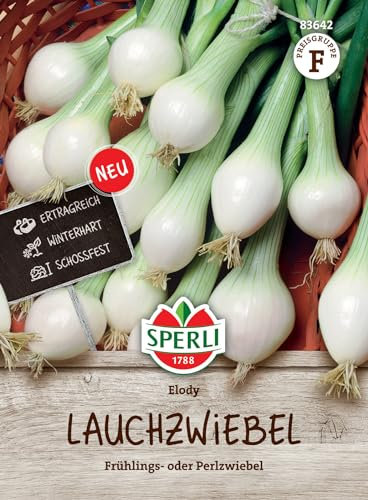 Sperli Lauchzwiebelsamen Elody 83642 – Frühlings- oder Perlzwiebel - Ertragreich - Winterhart - Schossfest - Zwiebelpflanzen, Gemüse Samen, Samen Gemüse, Saatgut, Zwiebeln, Saat
