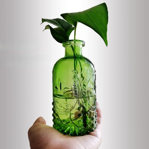 GUODDM Frasco Pequeño De Vidrio Sellado con Tapa De Corcho, Frascos Decorativos con Difusor De Boticario, Jarrones Decorativos For El Hogar, Juego De 3, Frascos For Especias, Suministros