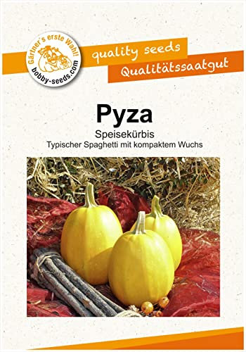 Pyza Kürbissamen von Bobby-Seeds, Portion