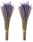 Jangostor 100g Manojos de Lavanda Seca, 43 cm Flores Secas Naturales para el Hogar, Sala de Estar, Boda, Fotografía, Fondo DIY y Artesanía