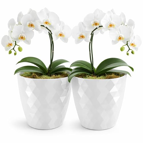 PECZEKO Pot de Fleurs Brillant, Pot de Fleurs en Plastique, Pot de Fleurs décoratif pour Grandes et Petites Fleurs, Lot de 2 Pots de Fleurs, Pots de Fleurs, Pots à Herbes, (Lot de 2) Blanc, ø 25 cm