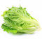 kiskick Semillas de hortalizas, 1000 unidades/bolsa de semillas de hortalizas, nutritivas, deliciosas y saludables, semillas de hortalizas de lechuga romana para el hogar Semillas de lechuga