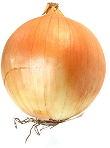 PREMIER SEEDS DIRECT - Onion - AILSA Craig - 6.0 GRAM ~ 1500 Finest Seeds
