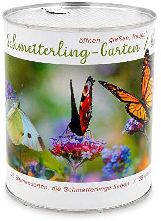 Fjärilsträdgård med 30 olika blommor för fjärilar och bin – en färgstark blomblandning