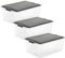 Rotho Compact 3er-Set Aufbewahrungsbox 38l mit Deckel, Kunststoff, anthrazit/transparent