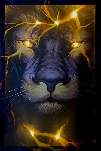 Samarkand - Lights LED Bild Leuchtbild 65 cm x 45 cm Bilder Löwe Fire Feuer Lion Wandbild