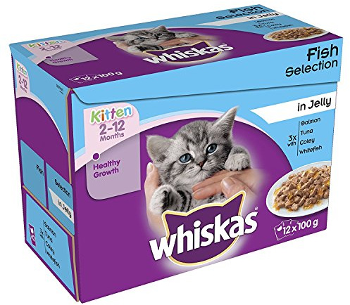 whiskas Junior Wet Cat Food for Kittens and Young Cats 2-12 Months, Fish Selection in Jelly, 48 Pouches (48 x 100 g)
