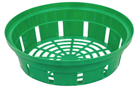 Zwiebelkorb Blumenzwiebel D 23 cm grün Pflanzschale Kunststoff Gemüsekorb