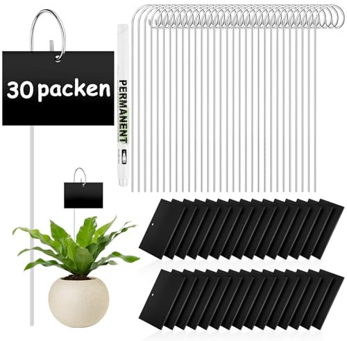 Lot de 30 étiquettes rectangulaires pour plantes - Avec stylo - Marqueurs de plantes pour le jardin en plein air - Étiquettes pour plantes en pot - Graines et fleurs