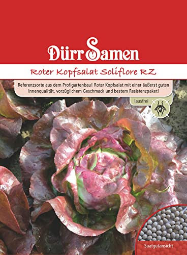 Dürr-Samen - Roter Kopfsalat Soliflore RZ Saatgut
