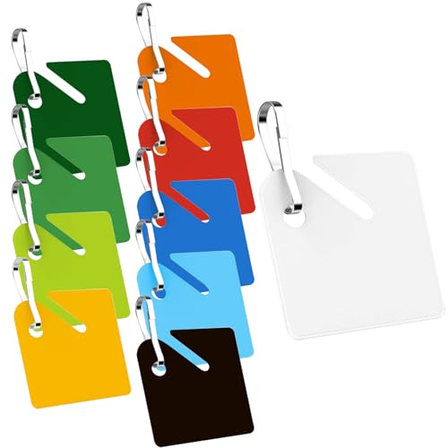 KAKAMINA 100 Pcs Colored Key Tags Plastic Hanging Tags with Metal Snap Hooks, Tags for Slotted Key Cabinets Boxes Lockers for Home Office and Garage(10 Colors)