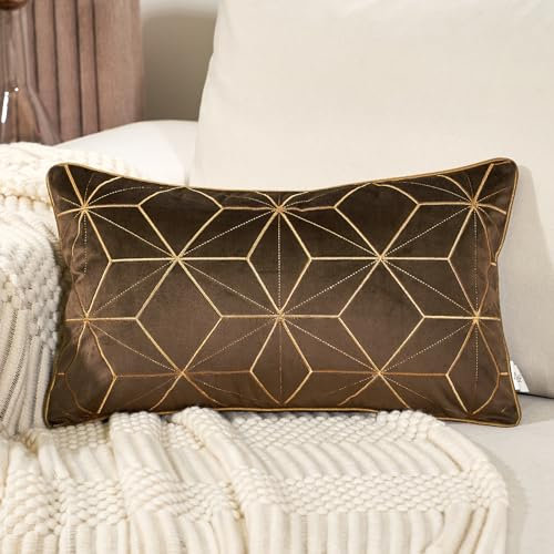 Aeckself Funda de cojín de terciopelo con bordado de líneas geométricas, de 30 x 50 cm, color marrón, dorado y marrón
