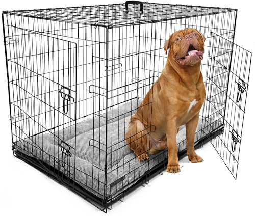 DogCrates+ Extra Extra Large Foldable Dog Crate with Bed, 2 Doors Design, Non-Chew Metal, Removable Tray, 46-Inch Black