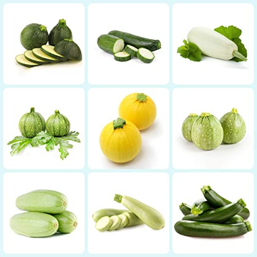 zucchini samen mischen 120 bio saatgut gemüsesamen alte sorten garten pflanzen hochbeet balkon kletterzucchini winterharte pflanzen für garten geschenk garten