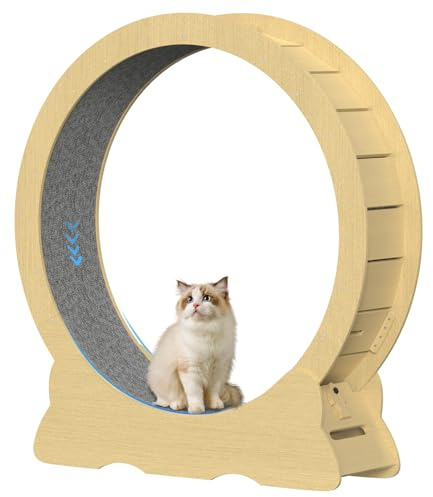 Rueda de Correr para Gatos, 132cm de Madera, Grande para Ejercicios de Interior, Súper Silencioso, Juguete para Mascotas (Natural, XXL)