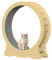 Katzenlaufrad, Laufrad für Katzen, 120cm Innendurchmesser Laufrad Katze, Super Leises Haustier Katze Laufrad Spielzeug, Holzlaufrad Laufrad Wheel Innen für Kleines Mittel Großes Katze (Holzfarbe, XXL)