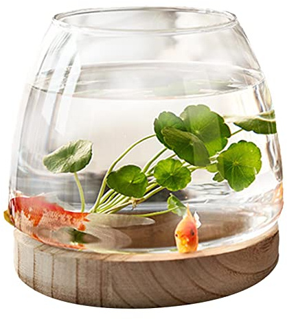 PW TOOLS Aquarium, Bocal À Poisson en Verre, Petit Aquarium Rond en Verre Transparent avec Base en Bois, Vase pour Hydroponique, pour Décoration De Bureau À Domicile