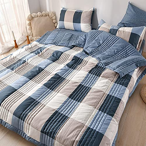 Yinghesheng Piumino Singolo Matrimoniale in Microfibra - Coperta Trapuntata Calda per allergia ipoallergenica in Microfibra,Ipoallergenico e Naturalmente,C,200x230cm