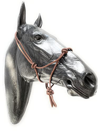 ARBO-INOX Knotenhalfter einfach ohne Führstrick Sonderangebot (COB VOLLBLUT, BRAUN)