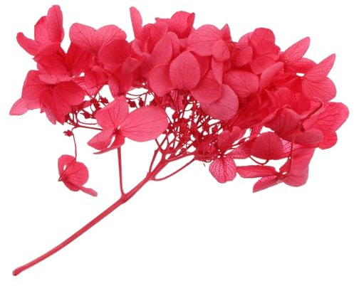 AOKWAWALIY 1 Scatola Materiale Rosa Impostore Fiori Di Ortensia Naturali Fiori Secchi Di Ortensia Testa Di Fiore Bouquet Fai Da Te Composizione Floreale Sposa Prodotto Finito Fiore Conservato