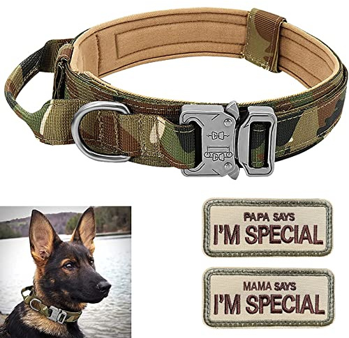 Collare per cani Eeyfarog regolabile con maniglia a controllo, Grigio XL