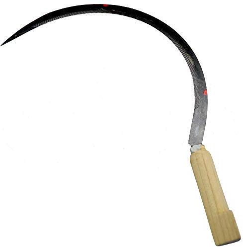 Cilli FALCIOLA FORGIATA Spagna 525MM Falce FALCETTO Manico Legno TAGLIAERBA FALCIAERBA