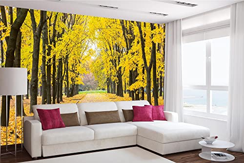 DIMEX LINE Non-Woven Photo Wallpaper Autumn Park 375 x 250 cm - Non-Woven Wallpaper, wall Mural, wall Pictures - Wallpaper for Living Room, Bedroom, Office, Kitchen