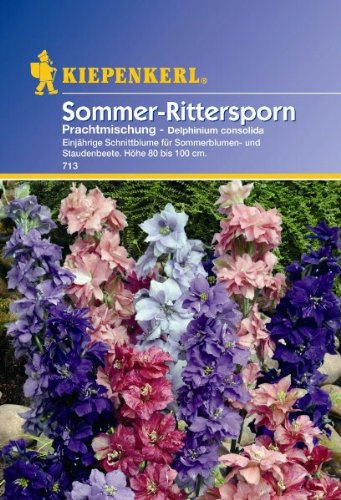 Delphinium Rittersporn Prachtmischung