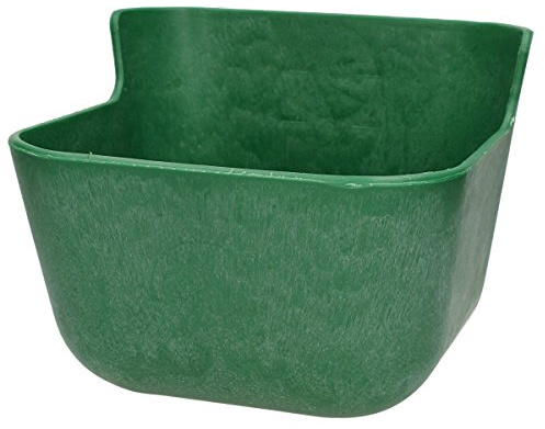 BR Mangeoire Poulain Young Line - Green