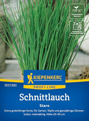 Kiepenkerl Profi-Line Schnittlauchsamen Staro 1057390 – Kräutersamen für eine extra grobröhrige Sorte mit einer Wuchshöhe von 20 bis 30 cm - Pflanzen, Saatgut