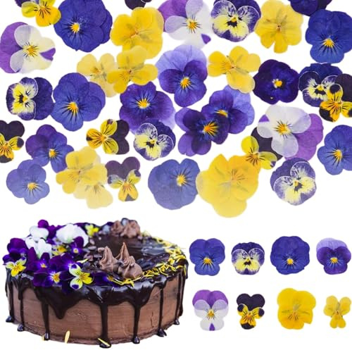 50 Fleurs Multicolores Séchées pour Décoration Gâteau – Gaufrage Naturel Pensée pour Cupcake Toppers, Décoration Alimentaire, Mariage, Baptême, Cocktail, Fabrication de Artisanal en résine DIY