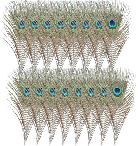 16 Pcs Natural Peacock Feathers 10 to 12 Inch Large Craft Decorative Feathers FeiatPogra for Vase Fillers Wedding Centrepieces Costume Making DIY Art Home Decor